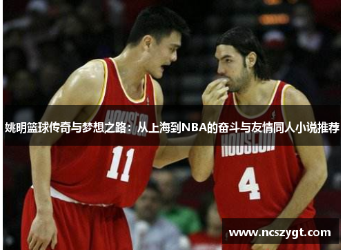 姚明篮球传奇与梦想之路：从上海到NBA的奋斗与友情同人小说推荐